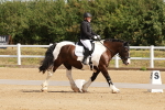 SBM_000437