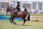 3E7A8998