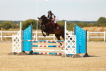 SBM_003324