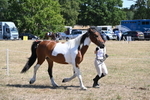 WJ6_8547
