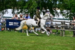 SBM_07769
