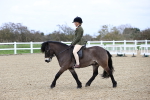 SBM_006833