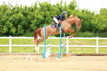 SBM_000290