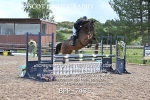 BPP_7435