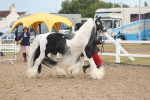 SBM_08496