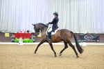 SBM_007986