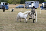 WJ6_5945