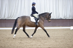 SBM_007350