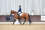 SBM_000576