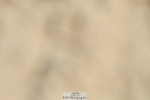 230623-133834-00810