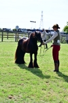 SBM_09480