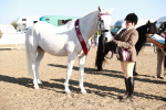 SBM_00132