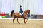 SBM_007233