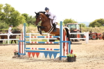 SBM_000449