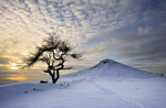 Winter Sun - Roseberry Topping