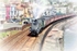 DW26 - Union of Africa 60009 passing through Dawlish