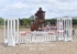 BPP_0951