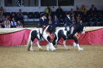SBM_15213