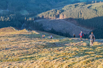 Grisedale-672