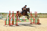 SBM_006132