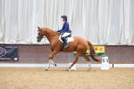 SBM_000597
