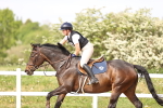 Class 7 - 1.00m portfolio