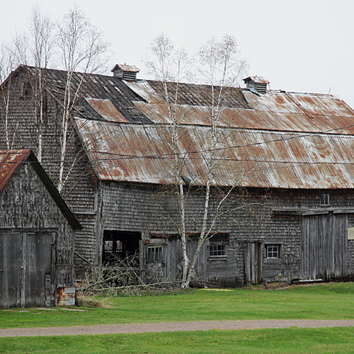 An old barn hangs on for another season.