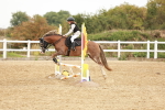 SBM_007534