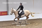 BPP_3896