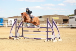SBM_007317