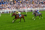 280625-Race 4-Hankelow-0522