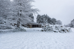The Tennis Lawn Summerhouse