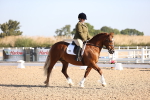 SBM_01641