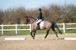 SBM_004456