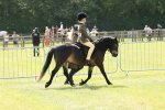 SBM_05205
