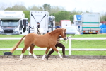 SBM_05833