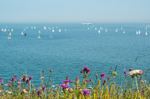 z3450 Round the Island Race from Culver Down