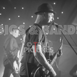 Peppered Ant Legs-185