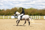 SBM_000566