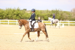 SBM_008447