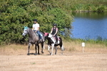 WJ6_8217