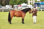 SBM_00542