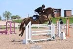 Foxhunter and 1.20m Open portfolio