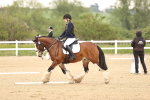 SBM_006477