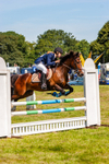 Eventing horse_8107