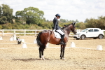 SBM_009394