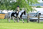 SBM_11468