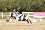 SBM_002719