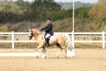 SBM_018204