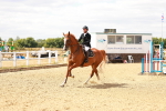 SBM_006519